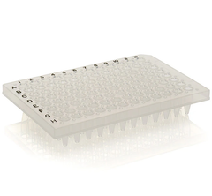PCR Plate, 96-Well, Semi Skirted, Flat Deck, Black  Lettering